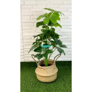 Pohon Hias Tanaman Artificial Daun Walisongo X12 Semilatex Cover Pot Purun Belly Dekorasi Sudut Ruangan