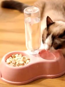 Tempat Makan Kucing Otomatis 2in1 Mangkok Double Free Botol Minum Anti Licin Anti Semut 2 in 1 Mangkuk Kotak Makanan Anjing Aksesoris Hewan Peliharaan PST