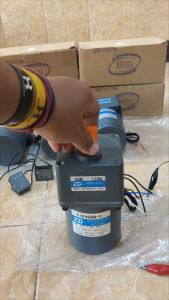 DINAMO AC Motor Gearbox 40W 220V Ratio- 1 :120 10 Rpm ZD INDUCTION MOTOR Free Kapasitor Produk Impor