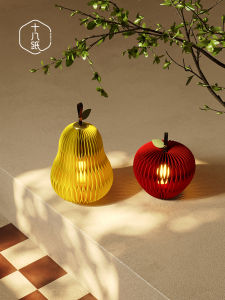 SHIBAZHI | Bedroom Sleeping Handheld Atmosphere Light