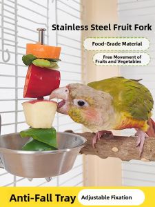 VOA | Parrot Feeding Tool Set - Fruit Fork Vegetable Hook Corn Hook Fruit Clip