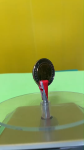 เหรียญ 10 บาท ปี พ.ศ.2550