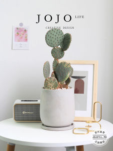 Simple Cement Flower Pot in Wine Glass Shape Indoor Green Plant with Tray Nordic Style Home Decorations by JOJOS LIFE PD