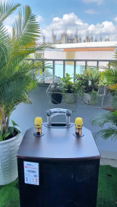 Loa Kéo Karaoke Bluetooth MTMAX K5 Pro Chip DSP Hay Như Phòng Karaoke Chuyên Nghiệp Dàn Karaoke Di Động Loa 3 Đường Tiếng Bass 40cm Công Suất 700W Kèm 2 Micro UHF Cao Cấp Nhẹ Hơi Nâng Giọng