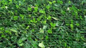 Garden Netting Green Woven Mesh Protect Plants Fruits Flowers Trees Stretch Fencing Durable Net Stops Birds Deer Animals