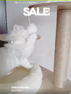 Elegant Acrylic Space Capsule Cat Tree with Scratching Posts and Playful Toys