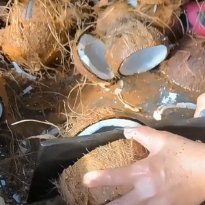 มะพร้าวแก้วขนมมะพร้าวอบแห้งมะพร้าวอบกรอบขนมราคาถูกขนมกินเล่นถูกๆ 500 กรัม / 250 กรัม / 100 กรัม (พร้อมทาน)