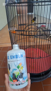 "AIR EMBUN 300ML" DAPAT MENGOBATI SUARA SERAKNGOROK DAN BERLENDIR