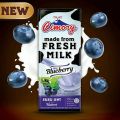 CIMORY UHT MILK 250 ml Made With Fresh Milk. 