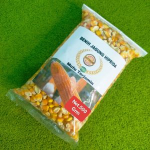 Benih Jagung hibrida super unggul kemasan 1 kg