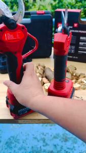 Kéo cắt cành dùng pin Amaxtools AKCC-25SM Và 30SM.BH 1 Năm