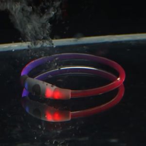 Vòng cổ chống đi lạc cho Chó Mèo bằng nhựa PVC có đèn led chiếu sáng sạc USB (mẫu mới) - Love Pets Shop