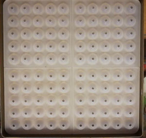 Silicone Truffle Ball Mold Ice Cream Filling Baking Tools Half Ball Mold Diameter 2 Cm Upper And Lower Mold Combination