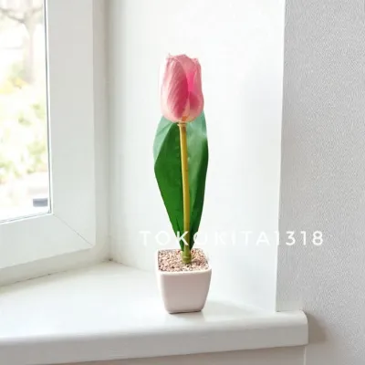 SET TULIP KUNCUP1 DENGAN POT MINI