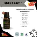 ^LARIS MANIS^ BENJOLAN 5 HARI HILANG TANPA HARUS OPERASI CEPAT DAN PERMANEN (NATURE BUMP) Obat Oles Benjolan | Minyak Oles Kelanjar getah bening | Serum Benjolan Lipoma | Gondok | Ambeien | Wasir | Uci-uci | BPOM,HALAL [COD/BAYAR DITEMPAT]. 