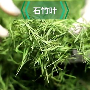 淡竹叶 竹叶茶 降火 消痰 利尿Bamboo Leaf Tea Teh Daun Buluh (15g)