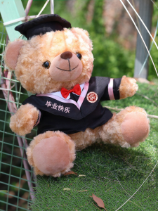 sui xin yu qie | Graduation Bear Plush Toy