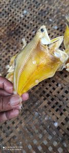 Ikan Asin kerupuk Bulu ayam alias ikan kwer