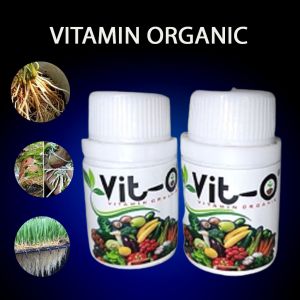 vitamin tanaman Vit-O 45 ml.