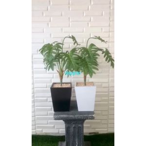 Pohon Artificial Tanaman Hias Daun Jari Philo X7 Latex Pot Kayu Kotak Hitam & Putih Dekorasi Rumah Aesthetic