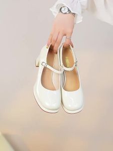 DUSTO | Elevating Chunky Heel Mary Jane Shoes