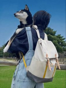 Herschel | Lightweight Small Backpack 15L