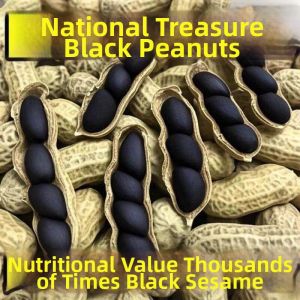 Rich in Selenium Raw Large Kernel Black Peanuts 500g