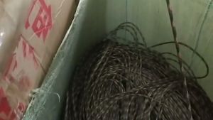 4M Multi Purpose Nylon Rope Strong Windproof Clothesline Outdoor Camping Clothesline