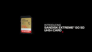 SanDisk Extreme GO UHS-I SD Card 32GB 64GB 128GB 256GB 512GB DXGN 12BUY OFFICIAL STORE