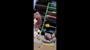 Bando Pokemon Cosplay Pikachu Umbreon Game Anime Halloween Costume Party Birthday Gift Pika Cute