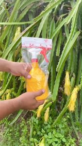 ฟ๊อกกี้ ฟอกกี้ ฟรอกกี้ ฟอกกี้ฉีดแอลกอฮอล foggy กระบอกฉีดน้ํา สีเหลือง บรรจุ 1 ลิตร ทําจากวัสดุอย่างดี ทนสารเคมี ปรับระดับได้ตามการใช้งาน