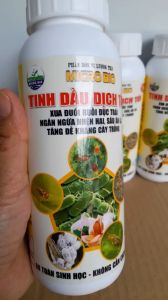 Tinh Dầu Dịch Tỏi  Bacillus 500ml  Phân Bón Vi Lượng Tăng Đề Kháng Cây Trồng