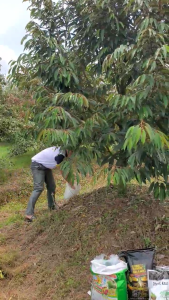 (Combo 3 bao) Phân bón At-Rooting Combi Vi Lượng - Nông nghiệp Việt Nam - Chứa Mn - Fe - Mg - Zn - Mg - Bón cho cây ăn trái - Dinh dưỡng cho cây trồng