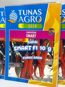 Benih Cabai Merah Besar Smart F1 10 g Tunas Agro dataran rendah menengah bibit unggul biji cabe pedas pedes tanaman sayur buah buahan hydroponik hidroponik