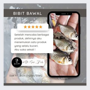 hemat Paket bundle bawal jempolan merah series merah benih tebar hiasan aksesoris pemanja mata