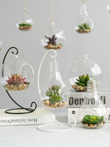 Đồ Trang Trí Treo Cửa Hàng Cửa Sổ Treo Trần Nhà Hoa Giả Trong Không Gian Mềm Mại Nhiều Loại Cây Thịt Mẫu Giáo