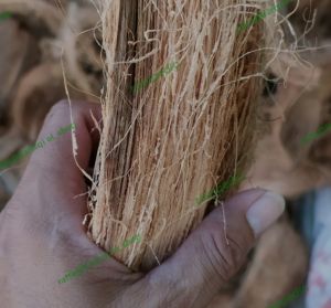 sabut kelapa cacah bahan kerajinan 1.kilo gram