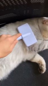 Pet Grooming Dog Grooming Cat Grooming Hair Removal Cleaning Beauty Air Bag Massage Brushes