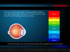 Dán PPF Realme GT7 / GT6 / GT5 / GT3 / GT2 / GT Explorer Master Pro 5G Rock Space Cao Cấp Trong Suốt Chống Va Đập Phủ Nano Dán Màn Hình Dán Lưng