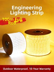 PAIMIJI | Ultra-bright Waterproof LED Strip Light 220V