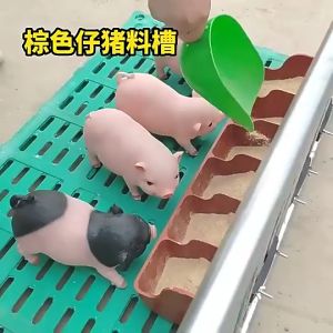 Viddavet 5 slot orange plastic piglet feeder Automatic Feeder For Piglet + 1 Kg Super Biik Piglet Booster Milk Formula