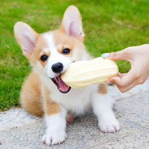 Durable Dog Toys Teeth Grinding Sound Making Ball Peanut Shaped Chew Proof Pet Supplies for Puppies And Small to Large Breeds