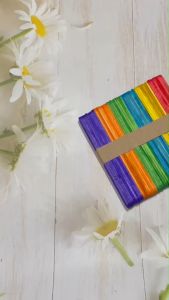 ไม้ไอติม WOOD DIY ไอเทมที่ต้องมีติดบ้านไว้ สำหรับงานประดิษฐ์ ศิลปะ (TOY765)