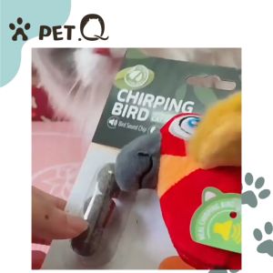 Đồ Chơi Mèo Vẹt Catnip FOFOS