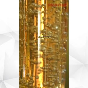 PROVINE Paket 3 Botol - Solusi Alami Atasi Kencing Manis & Kolesterol