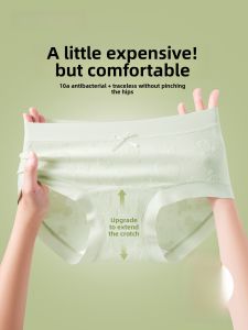 PIER N°5 | Herbal Initial Color Extended Crotch Pure Cotton Womens Underwear Antibacterial Seamless Mid Waist Embroidered Cotton Girl Triangle Panties