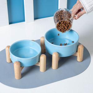 Ceramic Cat & Dog Bowls: A Comprehensive Guide