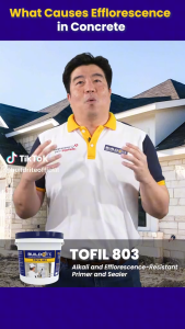 BUILDRITE TOFIL 803 - Alkali and Efflorescence-Resistant Primer and Sealer