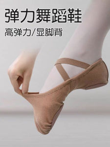 Elastic Canvas Soft-Soled Practice Shoes for Belly Dance Indoor and Outdoor for Women Men Children Folk Ballet Dance Shoes