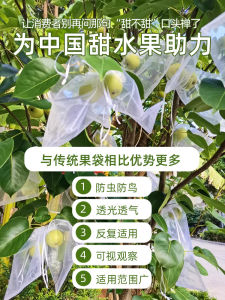 Fruit Bagging Net Bag for Pomegranate Watermelon Bird Proof Special Use Protective Cover for Farmers in Agriculture Industry